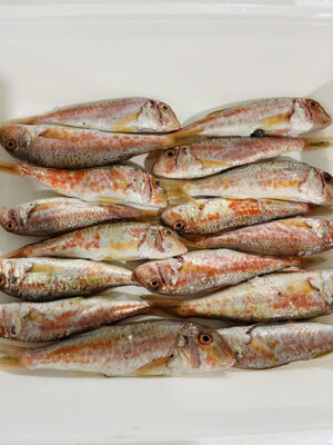 Salmonete Roca | Hermanos Rosso