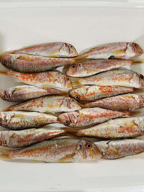 Salmonete Roca | Hermanos Rosso Salmonete Roca | Hermanos Rosso